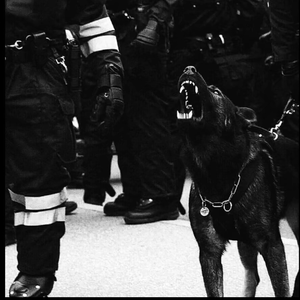 佘太君被强禽怀孕
