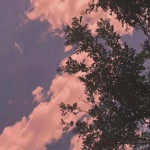 佘太君被强禽怀孕
